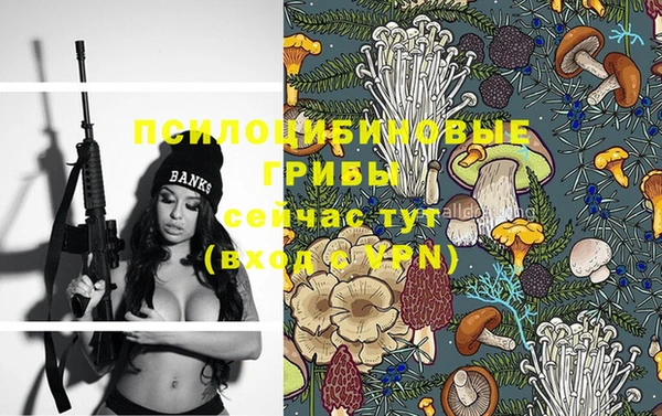 метадон Инсар